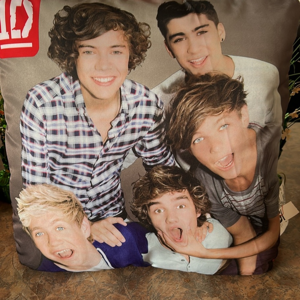 One Direction Picture Perfect Decorative Pillow - Picture 6 of 7